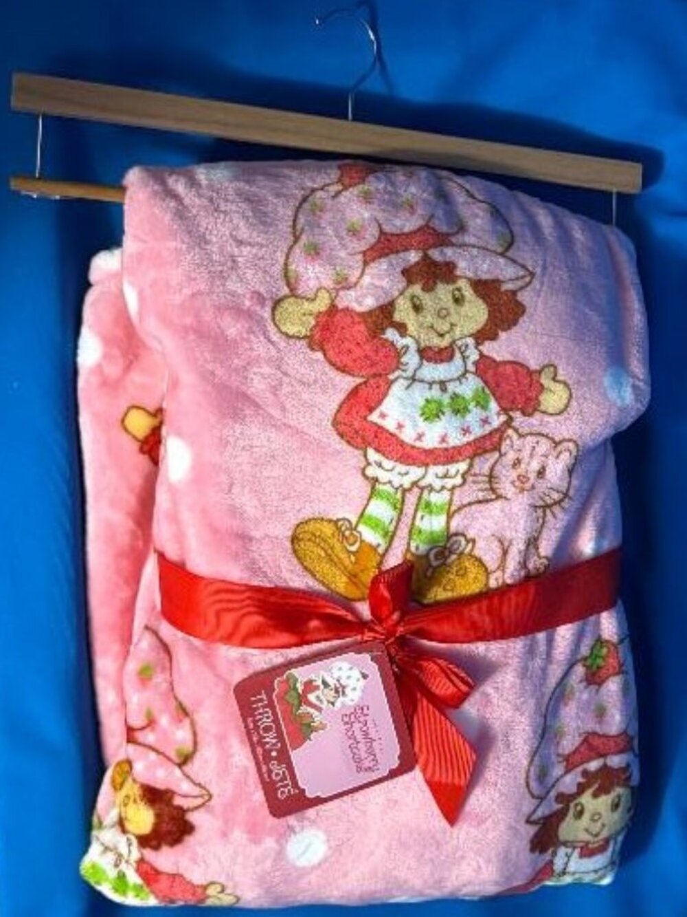 NEW BEAUTIFUL STRAWBERRY SHORTCAKE & KITTY CUSTARD 60" X 70" PLUSH THROW BLANKET